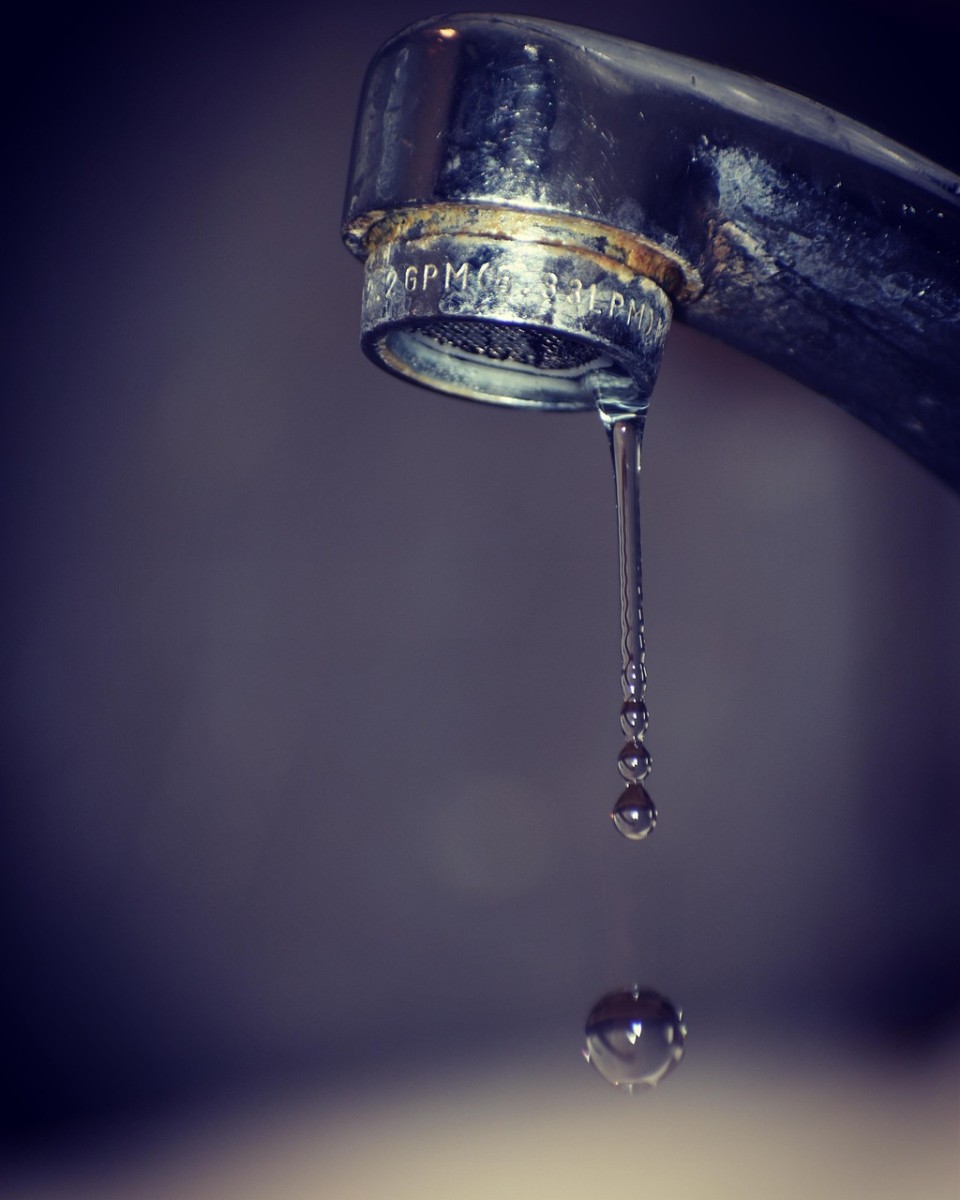 Image by Marin Mohanadas from Pixabay