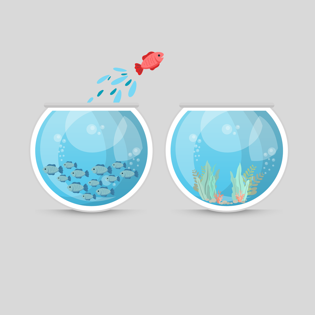 Image by Rosy / Bad Homburg / Germany from Pixabay