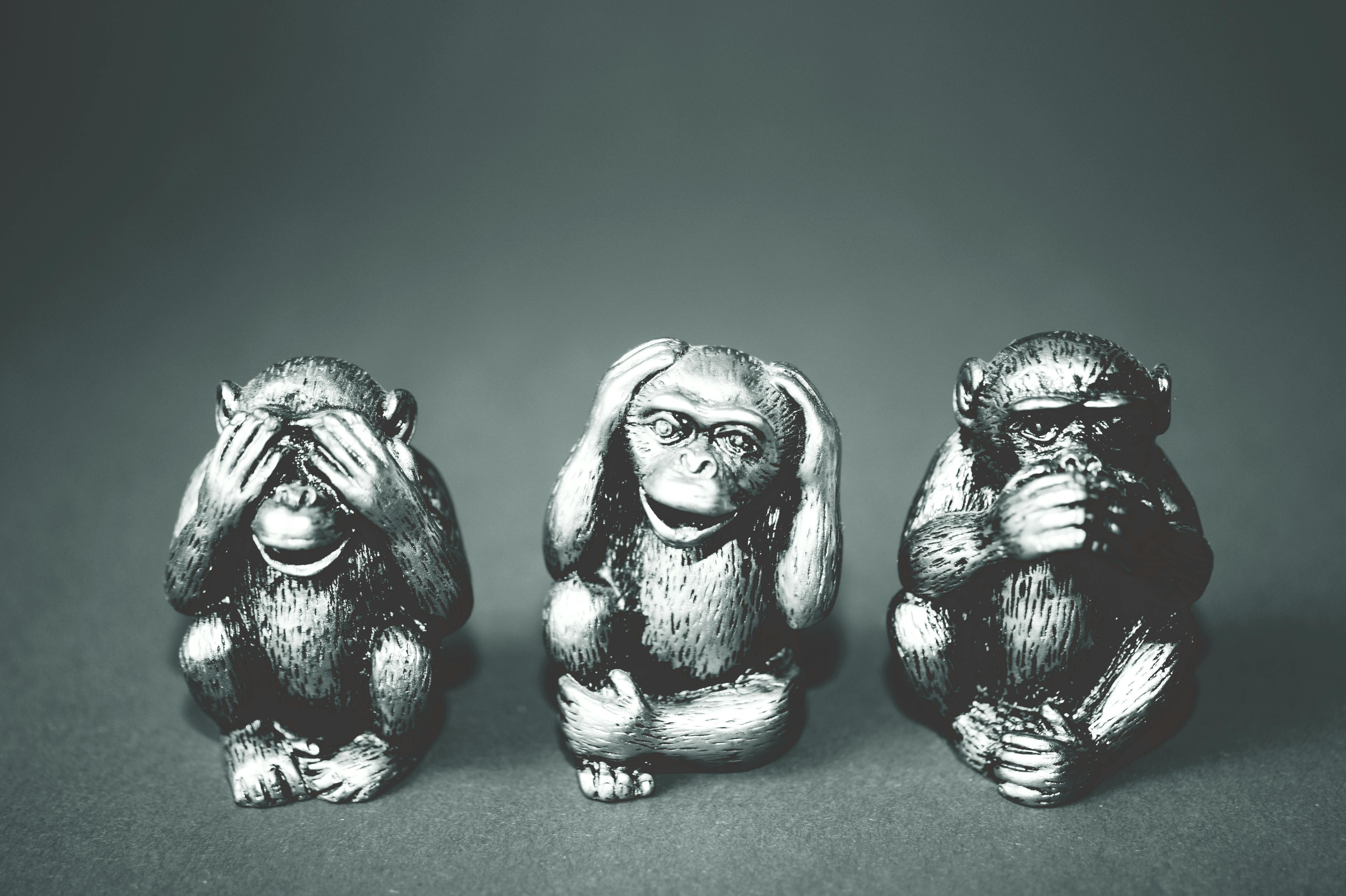 Photo by George Becker: https://www.pexels.com/photo/grayscale-photography-of-three-wise-monkey-figurines-134402/