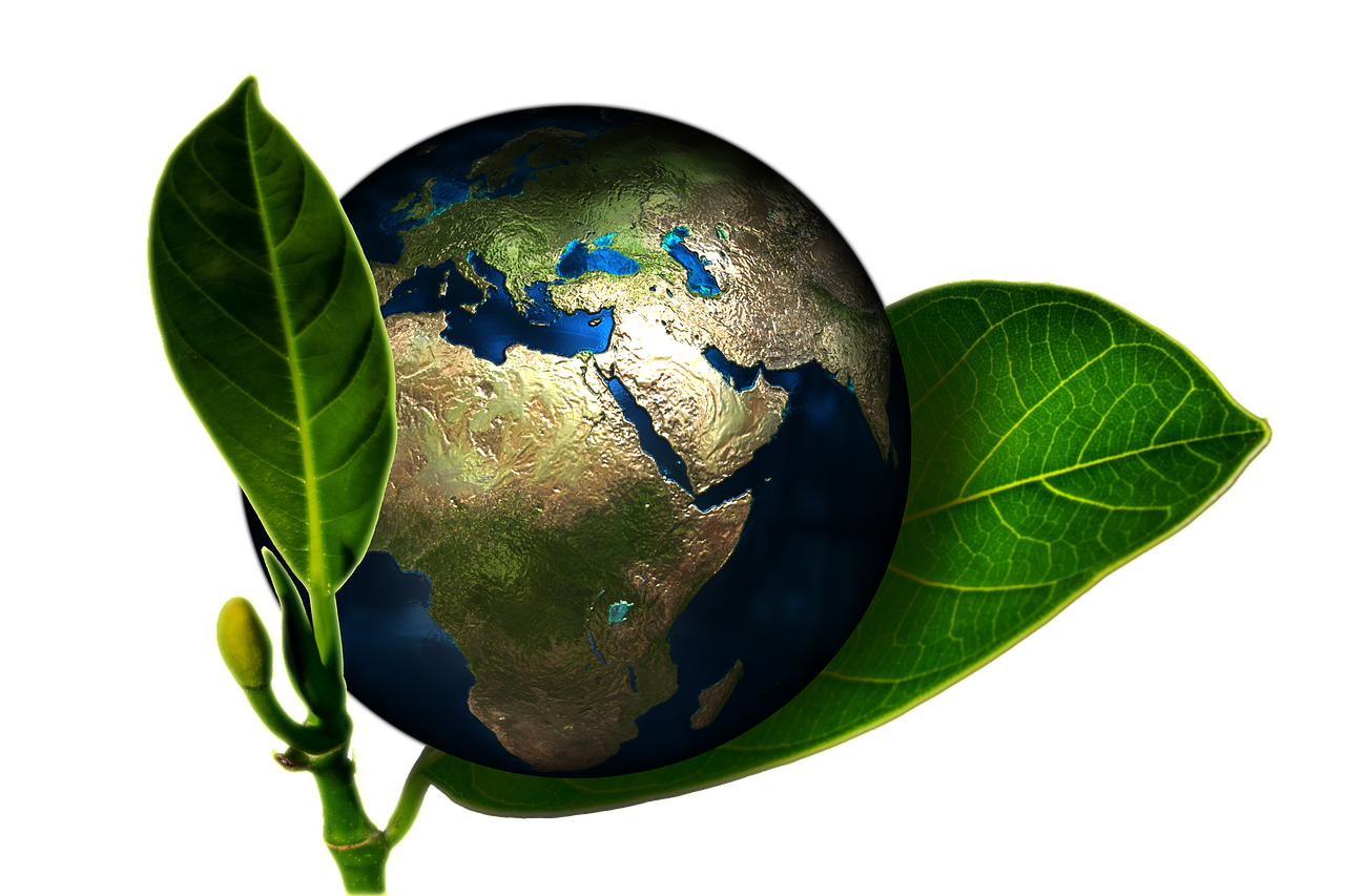 Image by Gerd Altmann from Pixabay